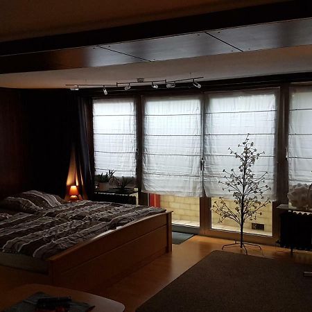 Koln-Bonn Appartment 韦塞林 外观 照片